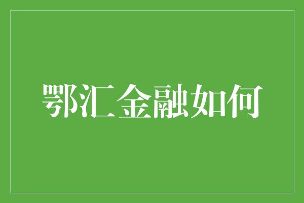 鄂汇金融如何