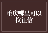 重庆哪里可以拉征信：探索个人信用报告查询渠道与使用技巧