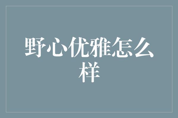 野心优雅怎么样