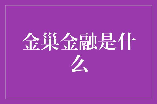 金巢金融是什么