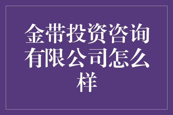 金带投资咨询有限公司怎么样