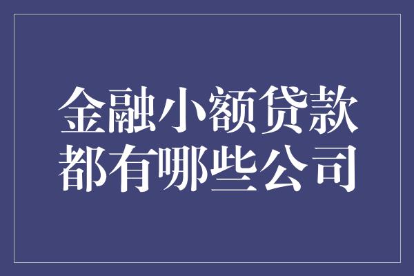 金融小额贷款都有哪些公司