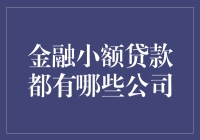 当前金融小额贷款公司的行业概览与推荐