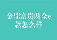 金鼎富贵两全e款：全方位理财与保障解决方案