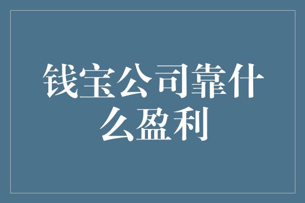 钱宝公司靠什么盈利