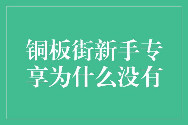 铜板街新手专享为什么没有