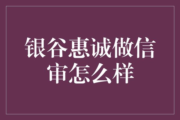 银谷惠诚做信审怎么样