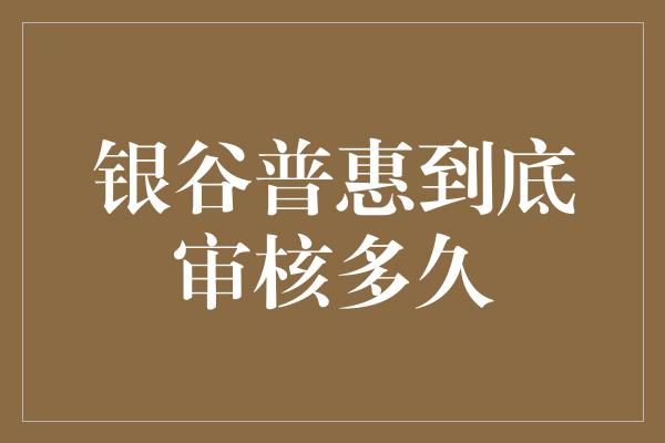 银谷普惠到底审核多久