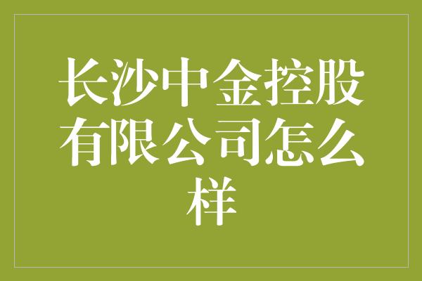 长沙中金控股有限公司怎么样