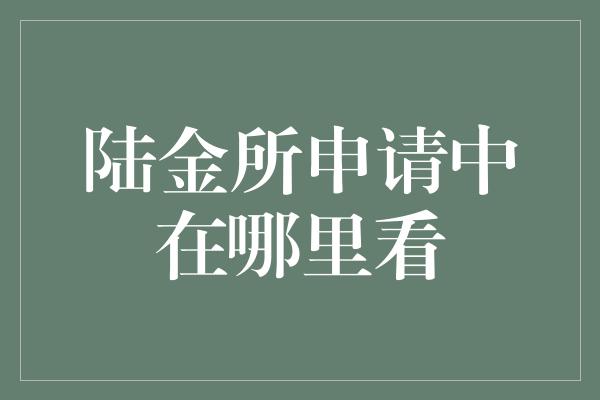 陆金所申请中在哪里看