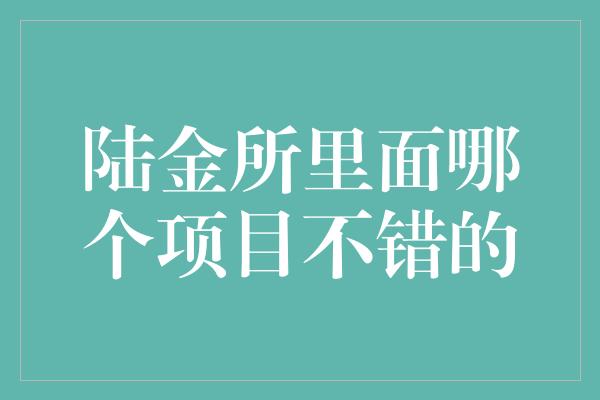 陆金所里面哪个项目不错的