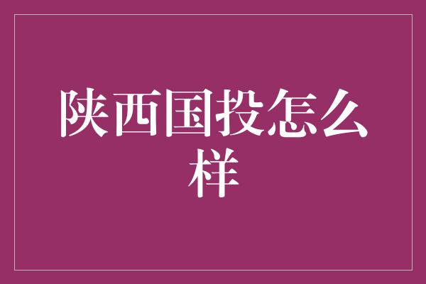 陕西国投怎么样