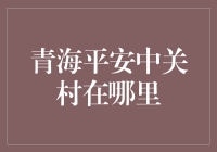 青海平安中关村：你猜，科技之城还是农业圣地？