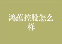 鸿蕴控股：在资本市场大潮中稳健前行的领航者