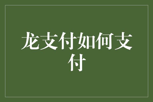 龙支付如何支付