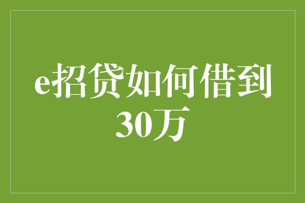 e招贷如何借到30万