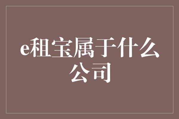 e租宝属于什么公司