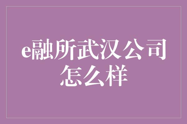 e融所武汉公司怎么样