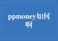 PPmoney：探索在线借贷平台的信用评估与合规性