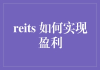 REITs 如何实现盈利：剖析其盈利模式与投资策略