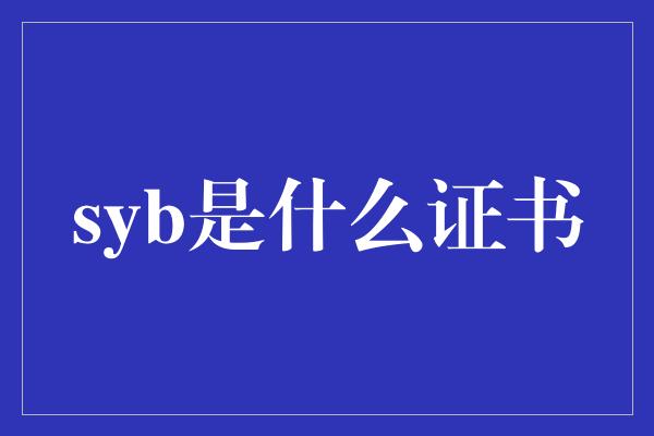 syb是什么证书