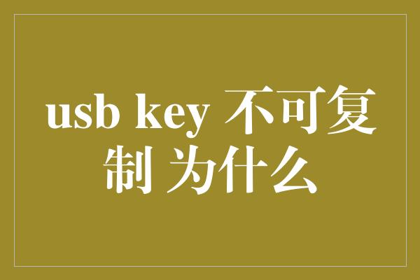 usb key 不可复制 为什么