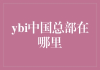 从中国总部的视角看ybi：青年活力的孵化器